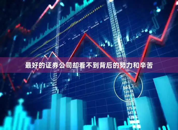 最好的证券公司却看不到背后的努力和辛苦