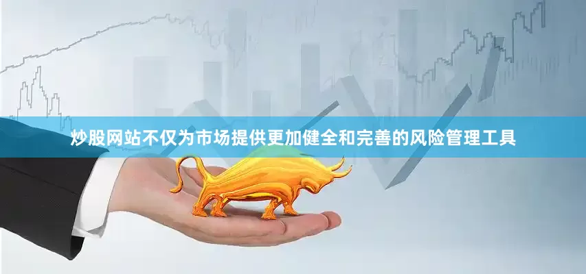 炒股网站不仅为市场提供更加健全和完善的风险管理工具